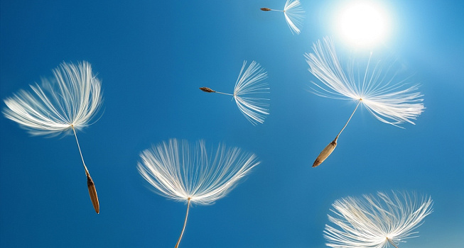 Международные грузоперевозки