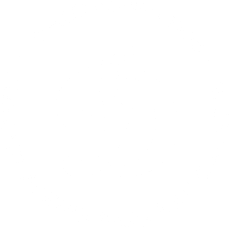vc-dynamo.ru